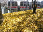 iC`Eĵイ̉ɂ́A8606F8610F8609Fu
