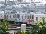 8606F͌ŉsJsJłB